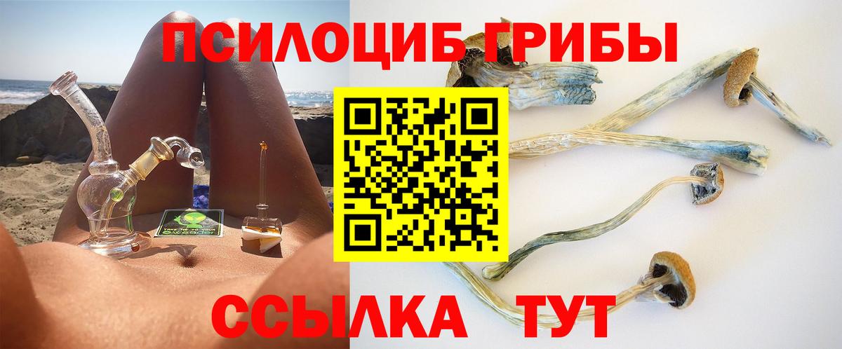 Галлюциногенные грибы MAGIC MUSHROOMS  Вход с VPN  Сухой Лог  Псилоцибиновые грибы мицелий 